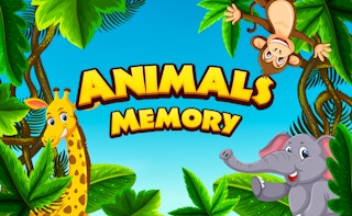 Image Animals Memory